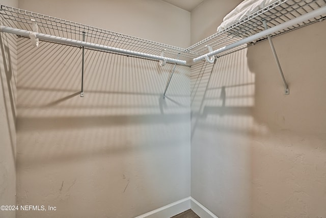 135 Hartford St, Hawthorne, FL 32640 - photo 37