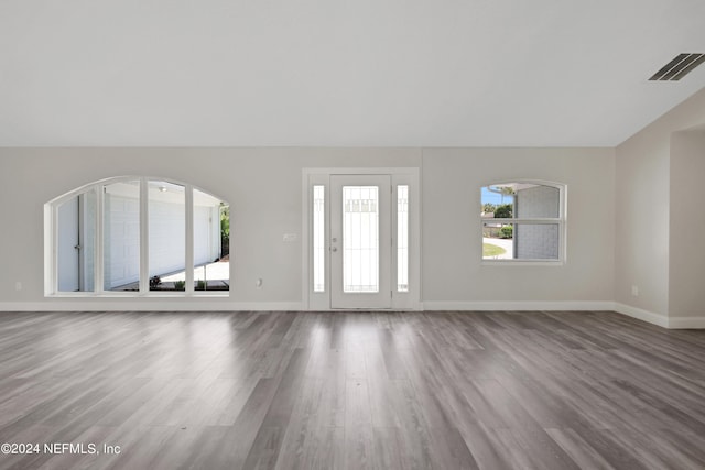 entryway featuring wood-type flooring