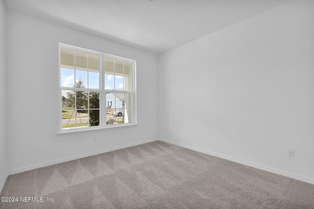 spare room with carpet