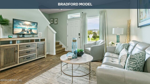 living room featuring hardwood / wood-style flooring