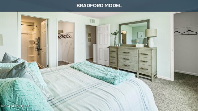 bedroom with carpet floors, a spacious closet, a closet, and ensuite bath