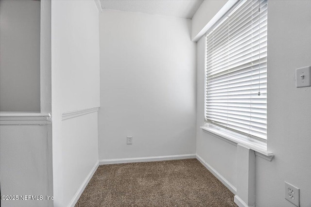 carpeted spare room with a wealth of natural light