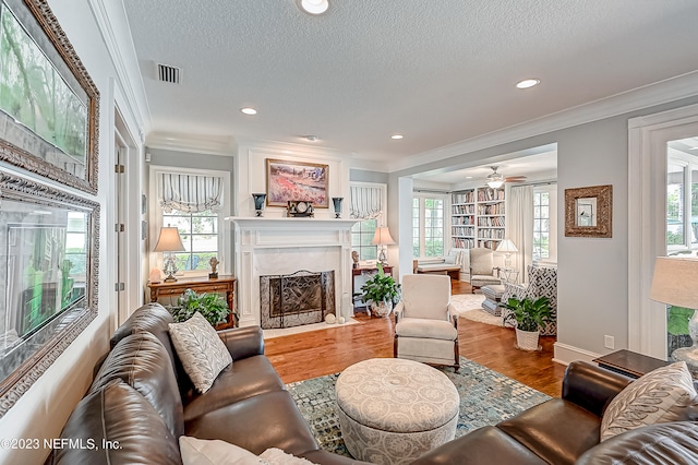 living room with hardwood / wood-style flooring, a premium fireplace, and a wealth of natural light