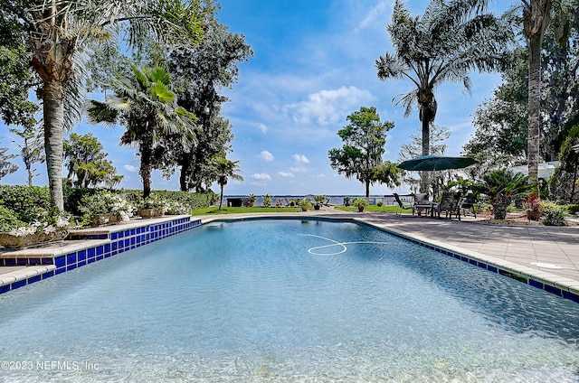 view of swimming pool with a patio