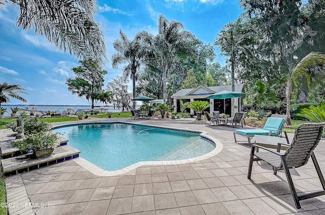 view of pool featuring a patio area