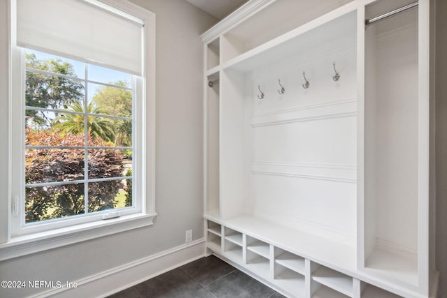 mudroom featuring plenty of natural light and dark tile floors