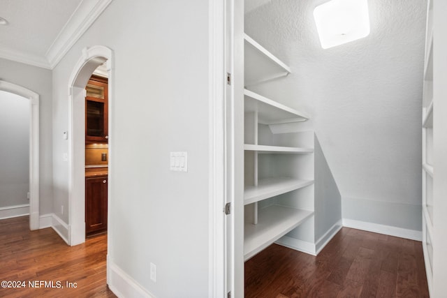 walk in closet featuring dark wood-type flooring