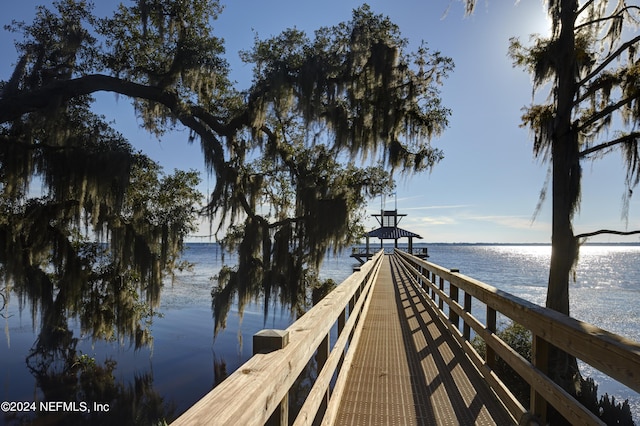 dock area with a water view