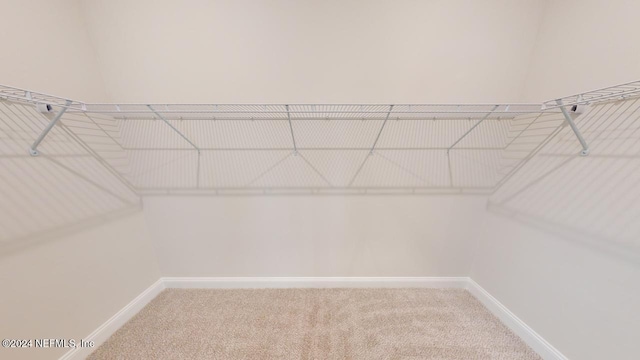 walk in closet with carpet