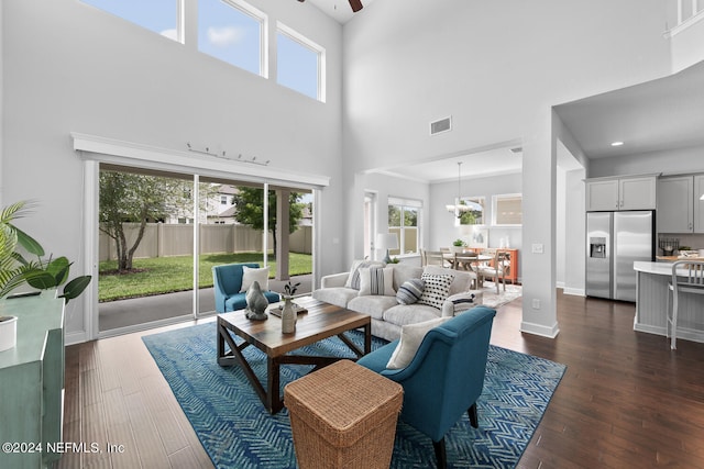 living room featuring a healthy amount of sunlight, a towering ceiling, and dark wood-type flooring