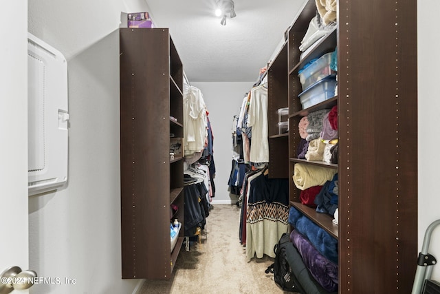 spacious closet featuring carpet flooring