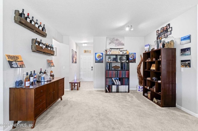 interior space featuring light colored carpet and a textured ceiling