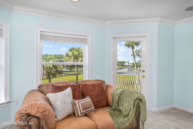 interior space featuring carpet floors and ornamental molding