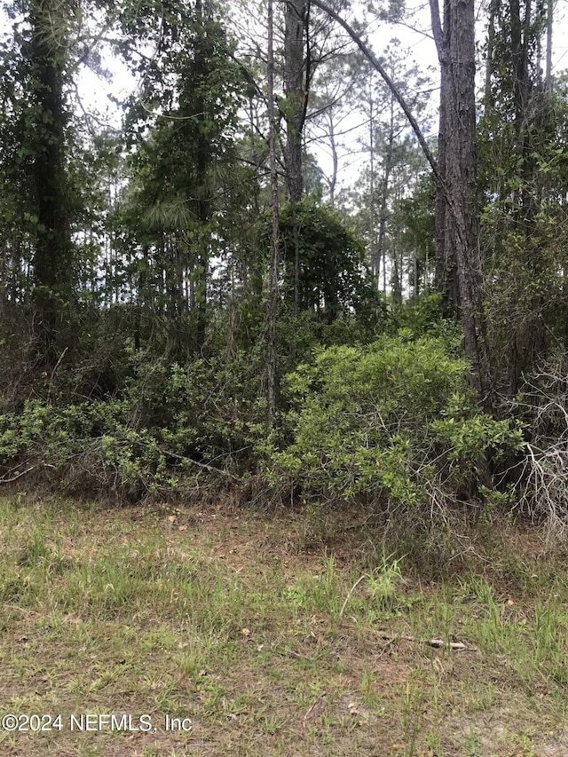 105 Needles Ln, Georgetown FL, 32139 land for sale