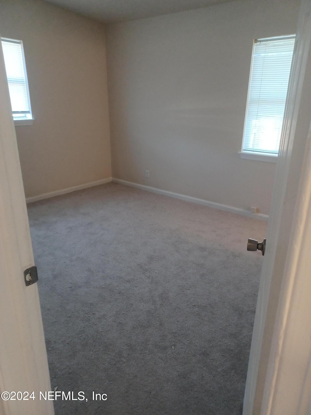 carpeted empty room with plenty of natural light