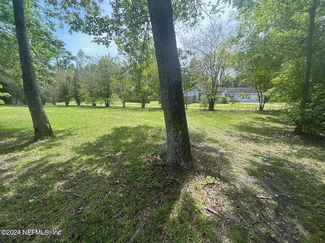 Listing photo 3 for 0 Mimosa Grove Trl, Jacksonville FL 32210