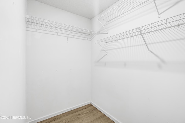 spacious closet featuring hardwood / wood-style floors