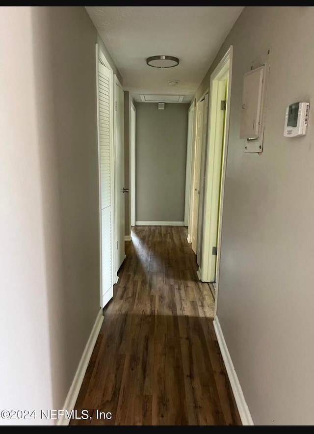 hall with electric panel and dark hardwood / wood-style floors