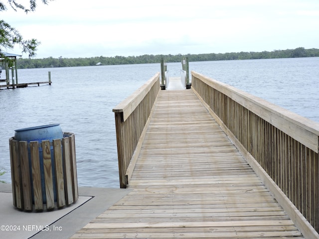 dock area with a water view