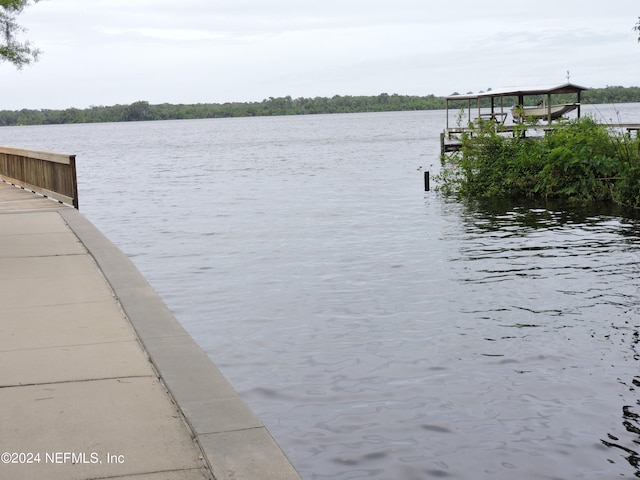 dock area with a water view