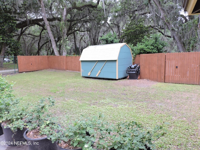 view of yard with a storage shed