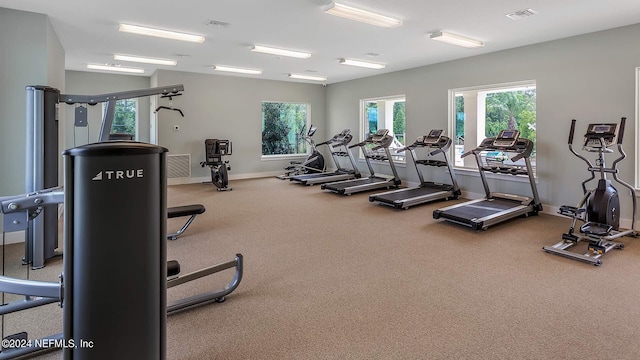 workout area with carpet