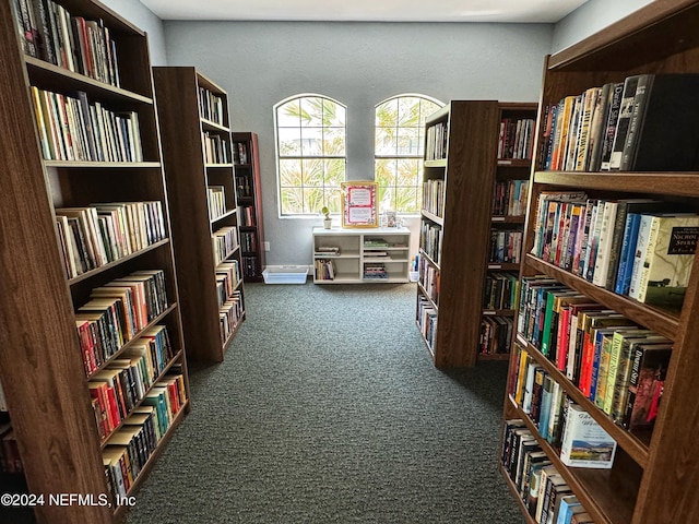 1414 Vista Cove Rd, Saint Augustine, FL 32084 - interior space featuring carpet, bookshelves, and baseboards