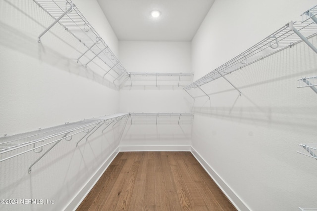 spacious closet with hardwood / wood-style flooring