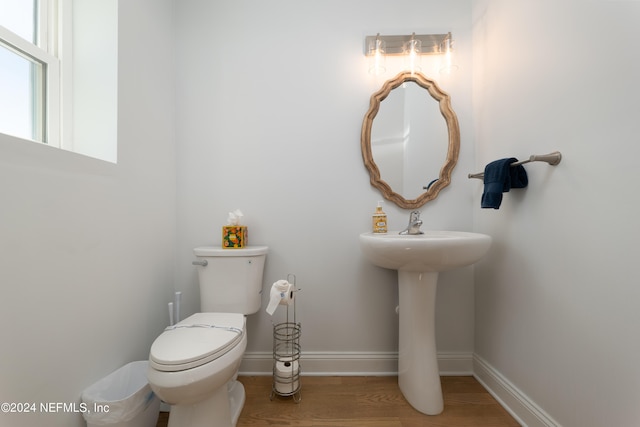 bathroom with toilet and hardwood / wood-style floors