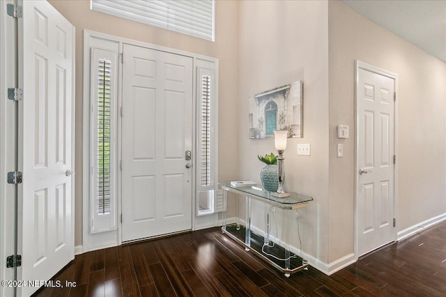 foyer entrance with dark wood-type flooring