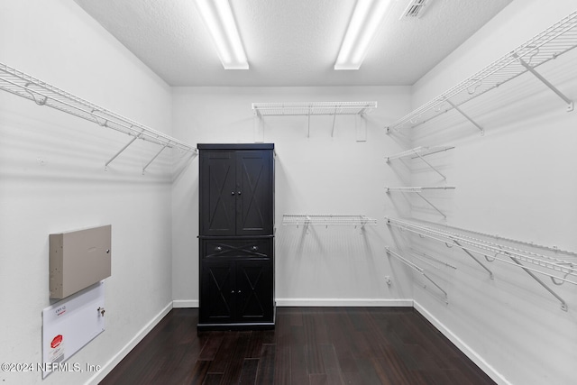 spacious closet featuring dark hardwood / wood-style flooring