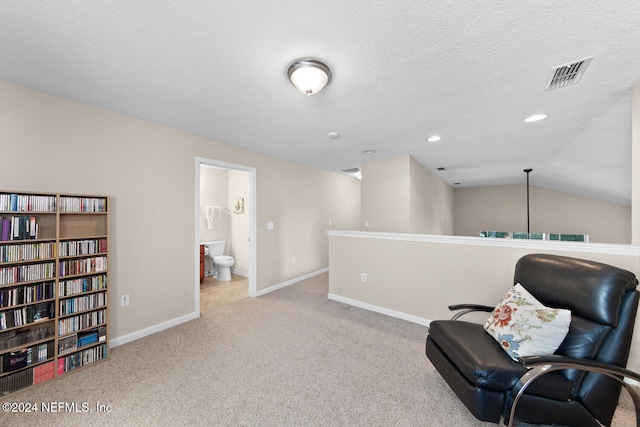 sitting room with a textured ceiling, lofted ceiling, and light carpet