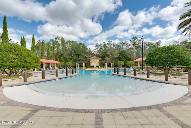 view of swimming pool with a patio area