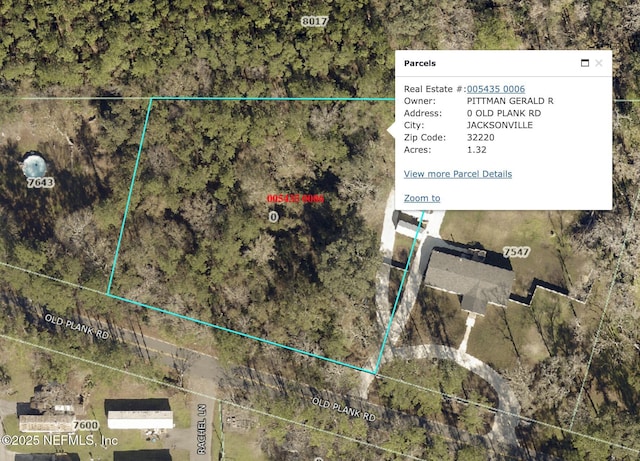 0 Old Plank Rd, Jacksonville, FL 32220 - photo 1