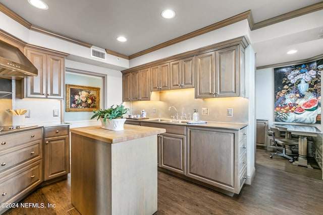 kitchen with wood counters, a kitchen island, crown molding, and dark hardwood / wood-style floors