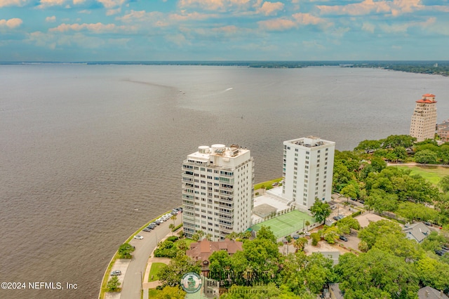 birds eye view of property featuring a water view