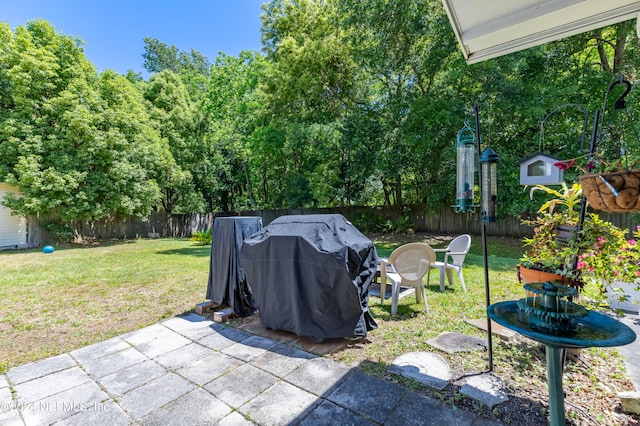 view of yard featuring a patio area