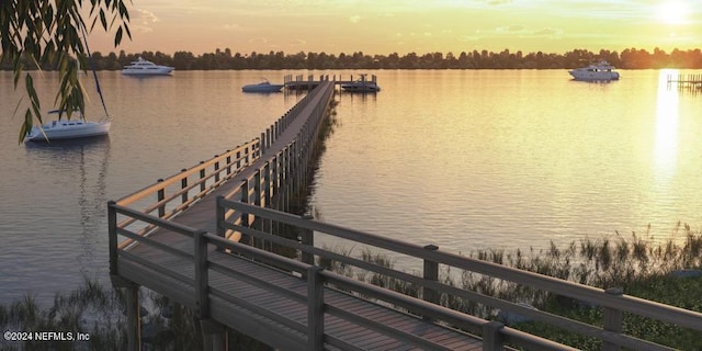 dock area featuring a water view