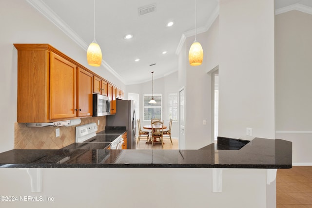 kitchen with crown molding, kitchen peninsula, and stainless steel appliances