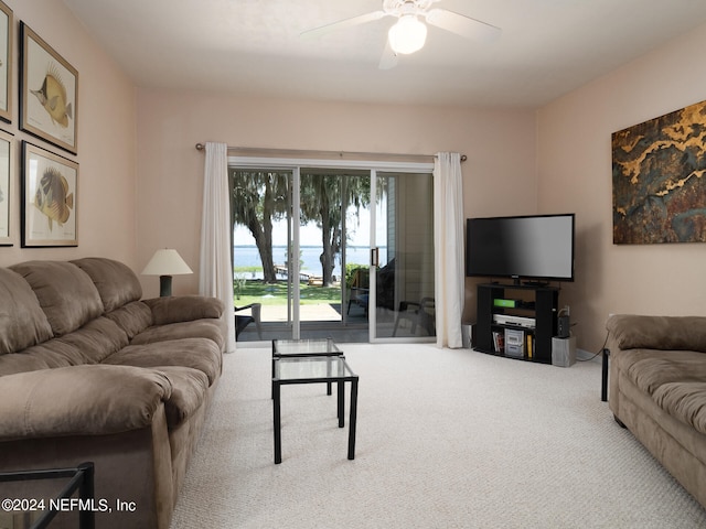 21116 NE 101st Ave, Melrose, FL 32666 - photo 5