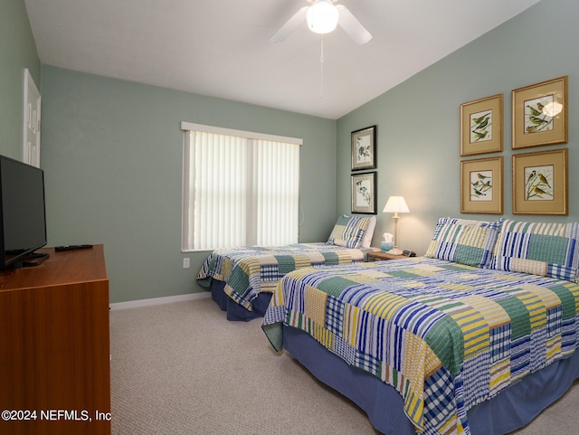 21116 NE 101st Ave, Melrose, FL 32666 - photo 17