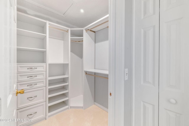 spacious closet featuring light colored carpet