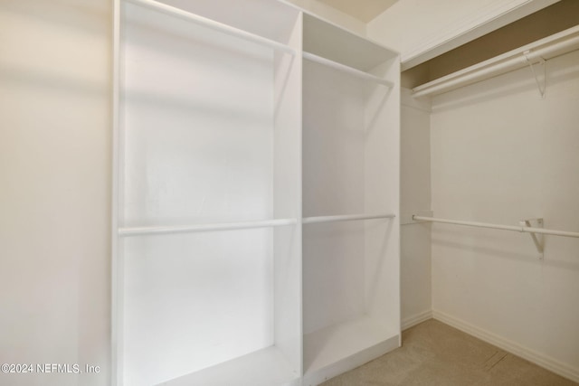 walk in closet featuring carpet flooring