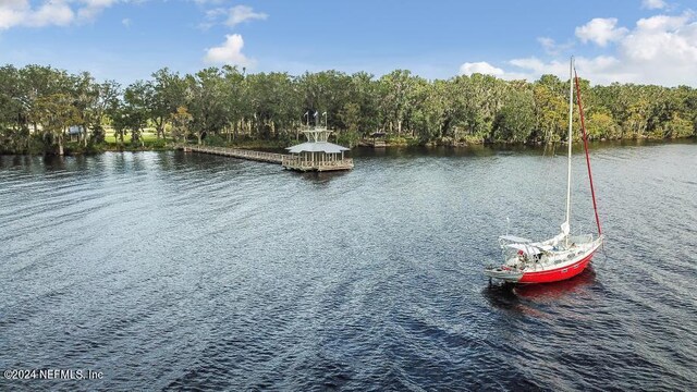 property view of water with a dock