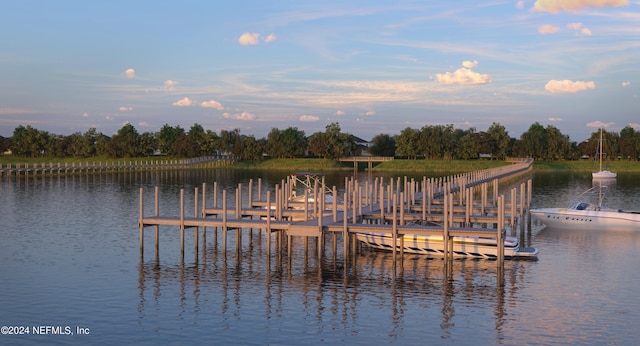 dock area with a water view