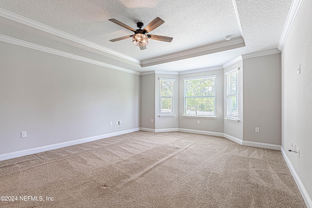 spare room with carpet, crown molding, a tray ceiling, ceiling fan, and a textured ceiling