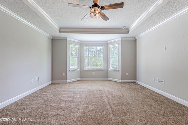 unfurnished room with ornamental molding, carpet, and a tray ceiling