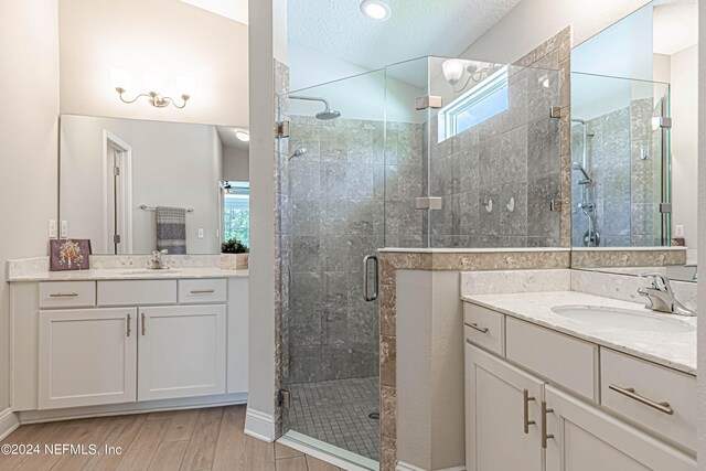 bathroom with walk in shower, vanity, and a wealth of natural light