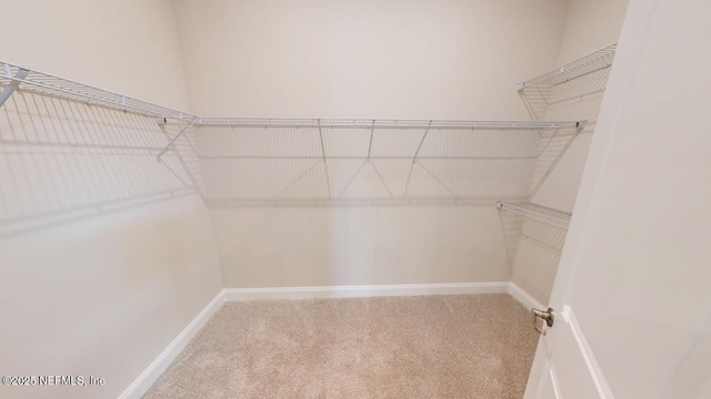 walk in closet featuring carpet floors