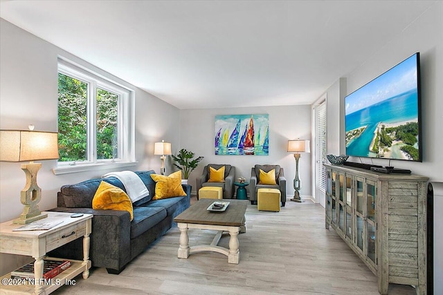 living room featuring light wood-type flooring